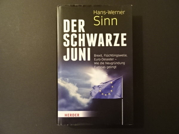 Der schwarze Juni / Hans-Werner Sinn