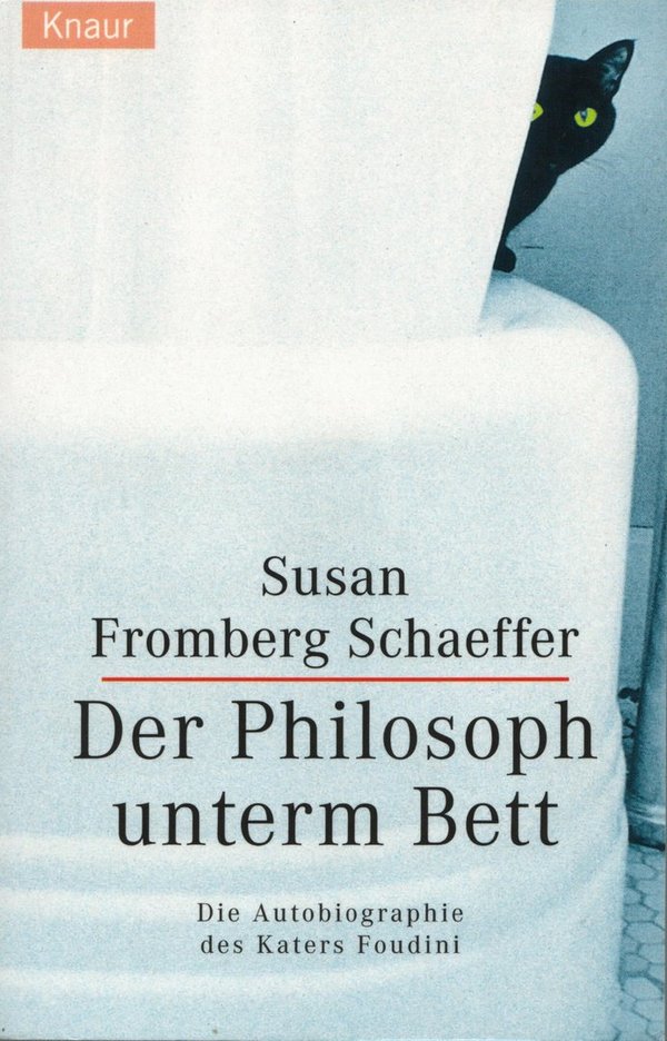 Der Philosoph unterm Bett / Susan Fromberg Schaeffer